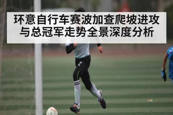 环意自行车赛波加查爬坡进攻与总冠军走势全景深度分析 - c7c7.app